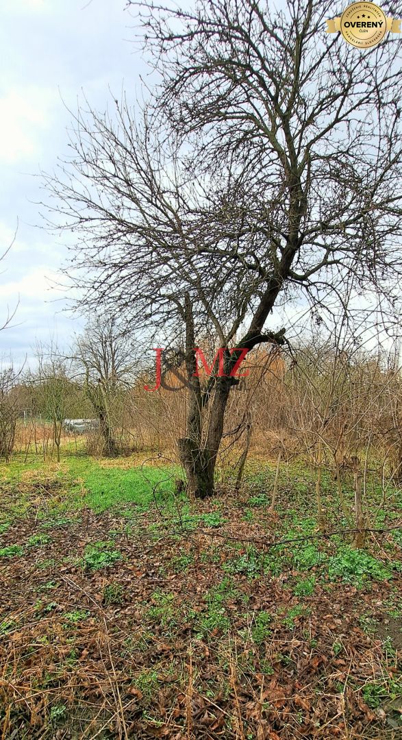 Fotografia č. 3