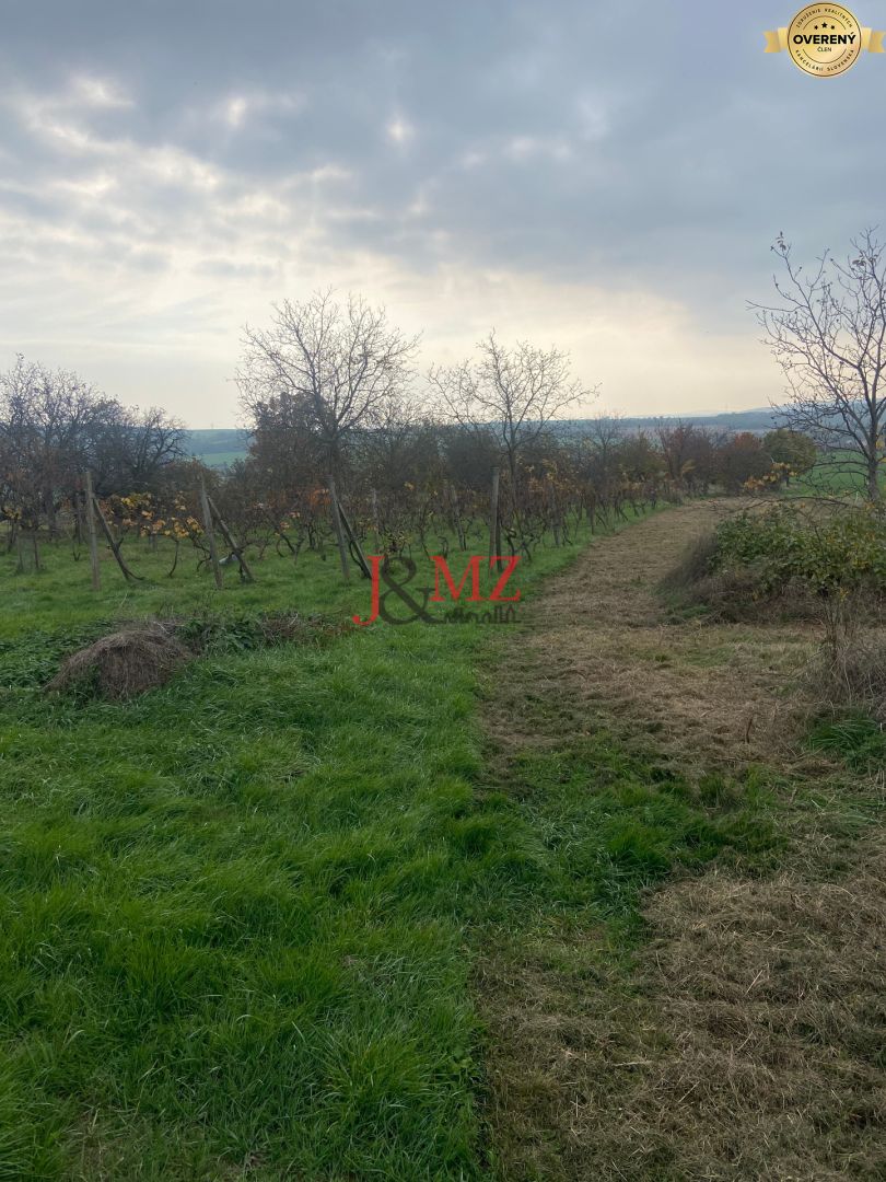 Fotografia č. 5