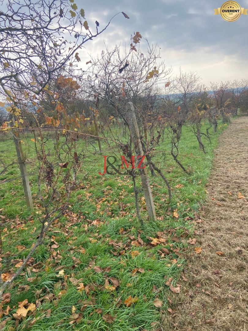 Fotografia č. 7