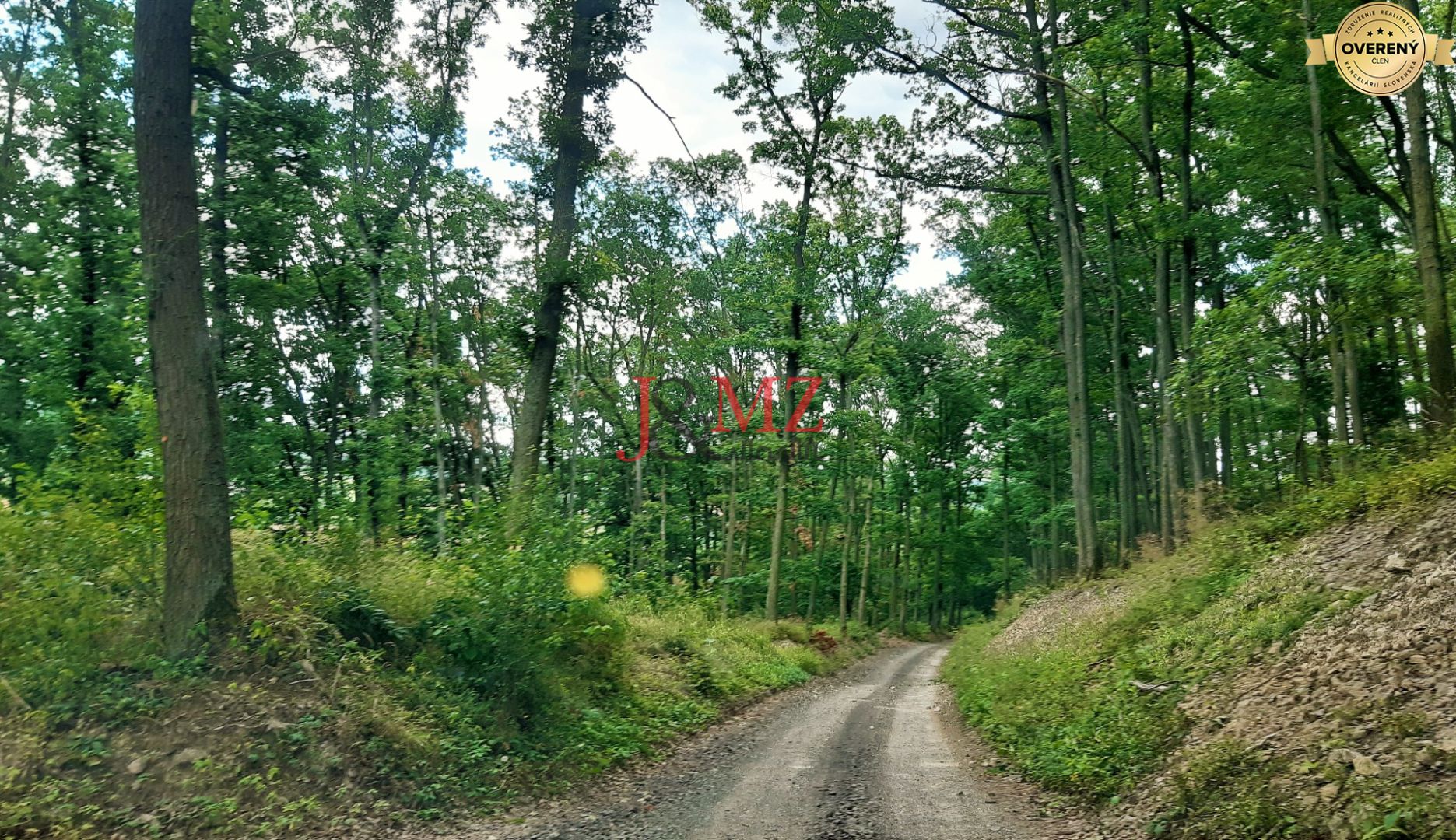 Fotografia č. 5
