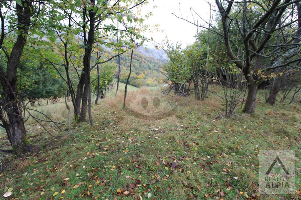 Fotografia č. 3