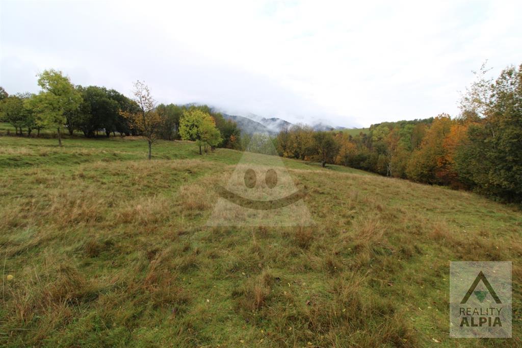 Fotografia č. 6