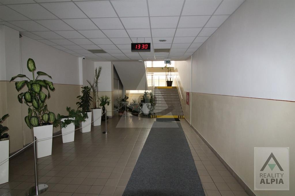 Fotografia č. 9