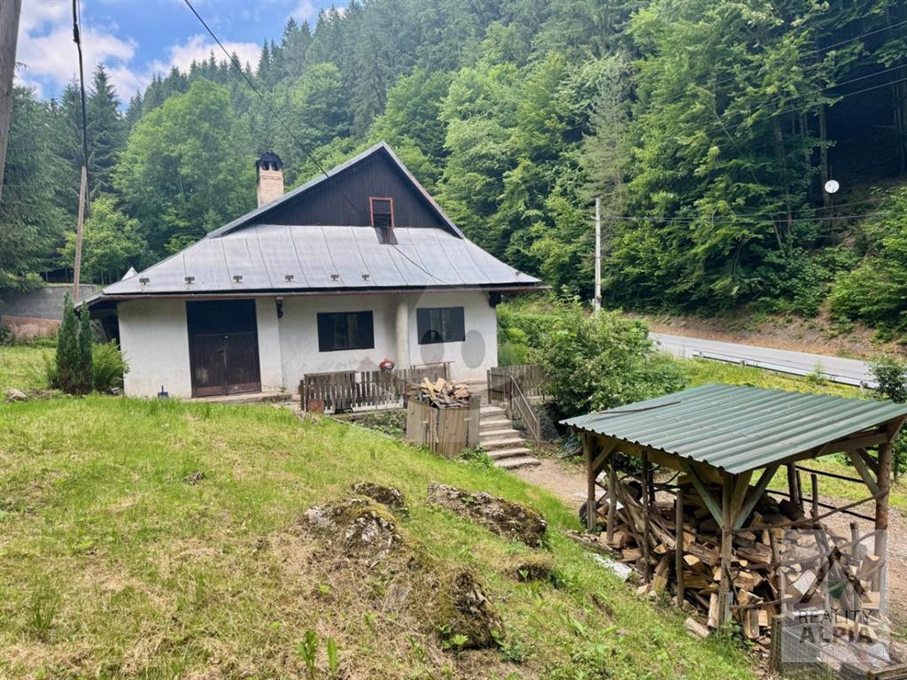 Fotografia č. 6