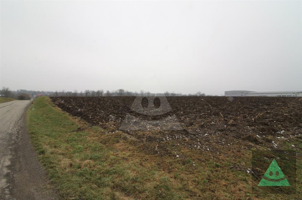 Fotografia č. 5