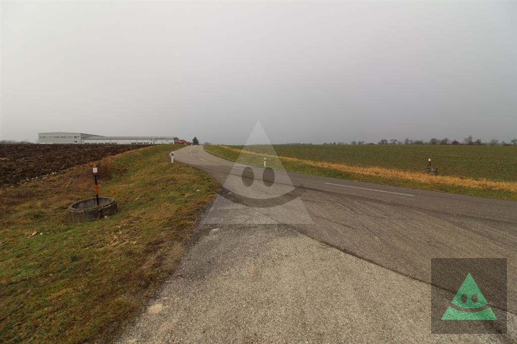 Fotografia č. 8