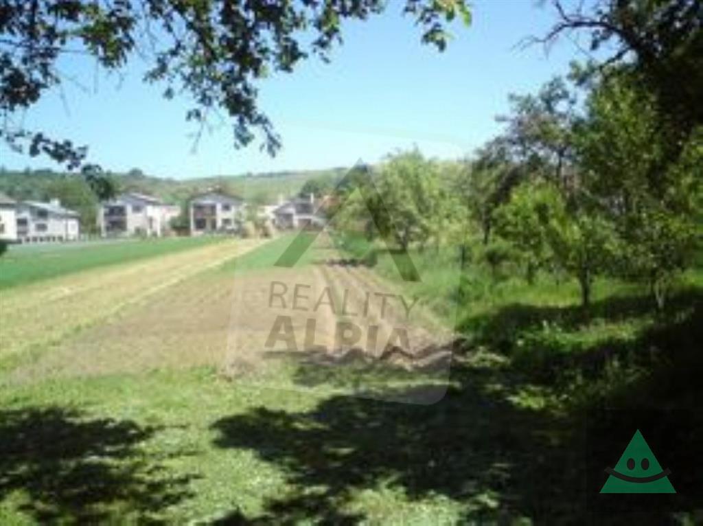 Fotografia č. 2