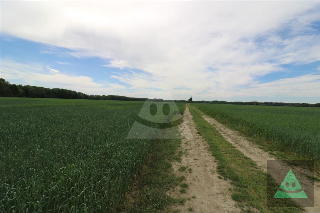 Fotografia č. 5
