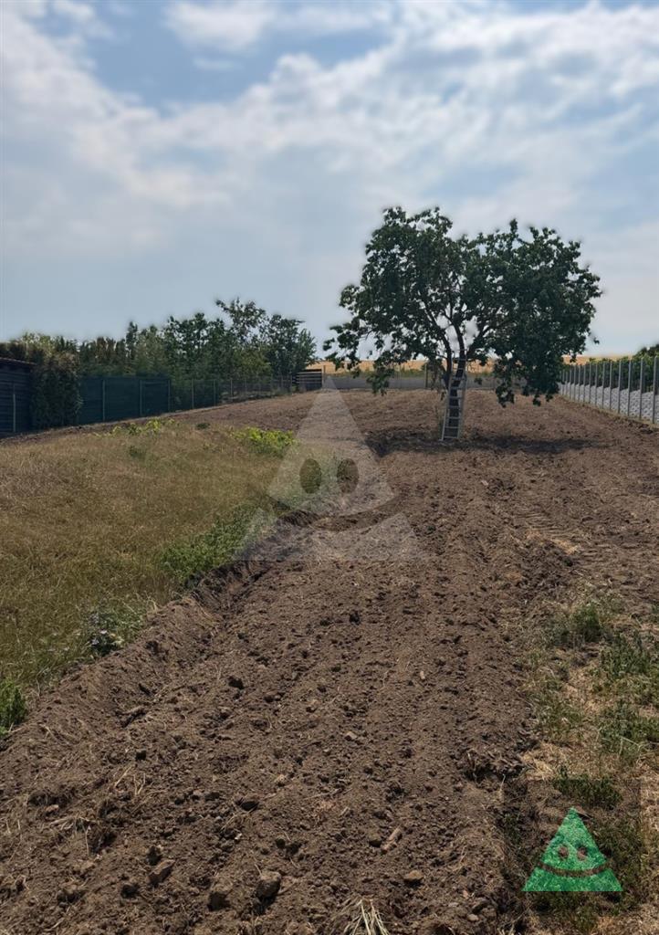 Fotografia č. 7