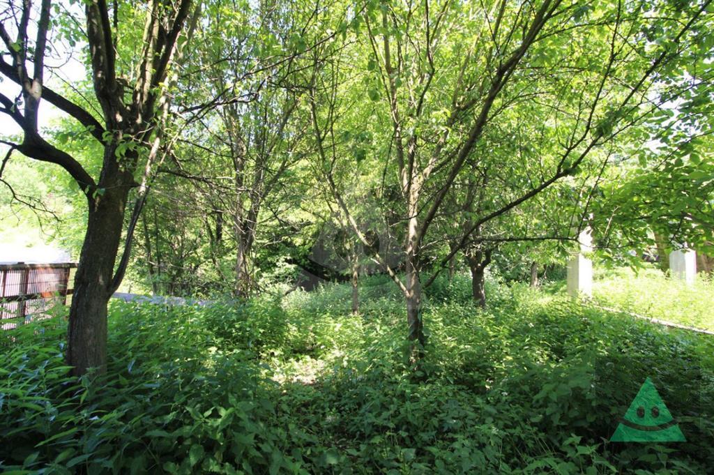 Fotografia č. 4
