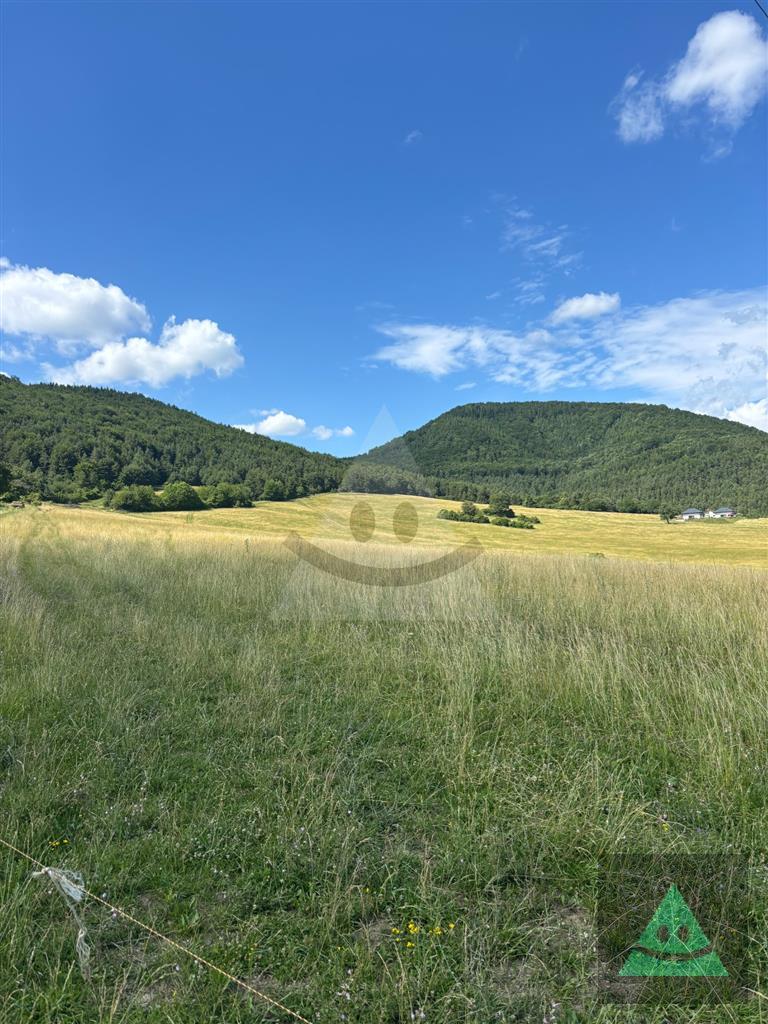 na predaj slnečný pozemok s rozlohou 6 467 m2 v obci malá čierna za 110000 eur