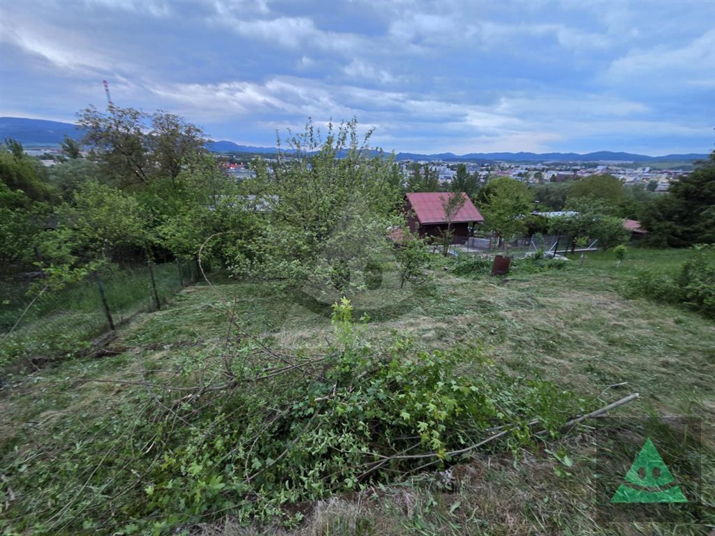 Fotografia č. 10