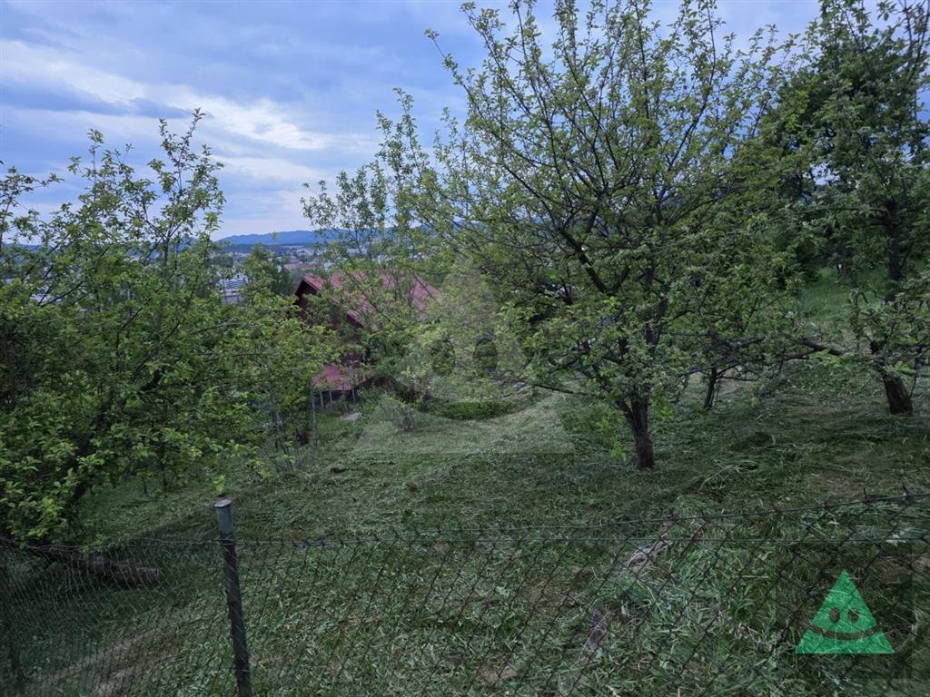Fotografia č. 12