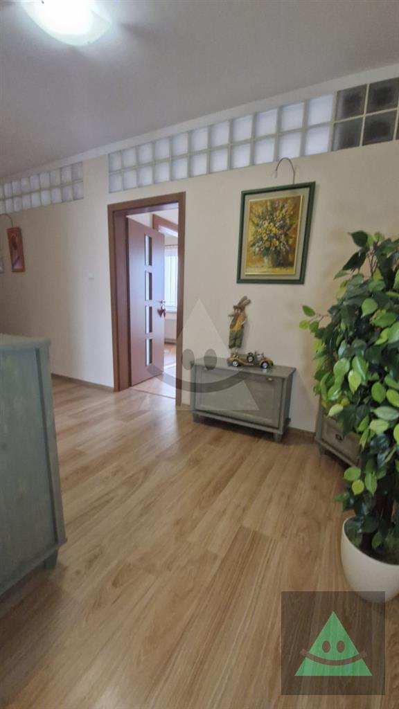 Fotografia č. 6