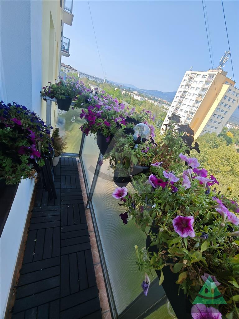 Fotografia č. 16