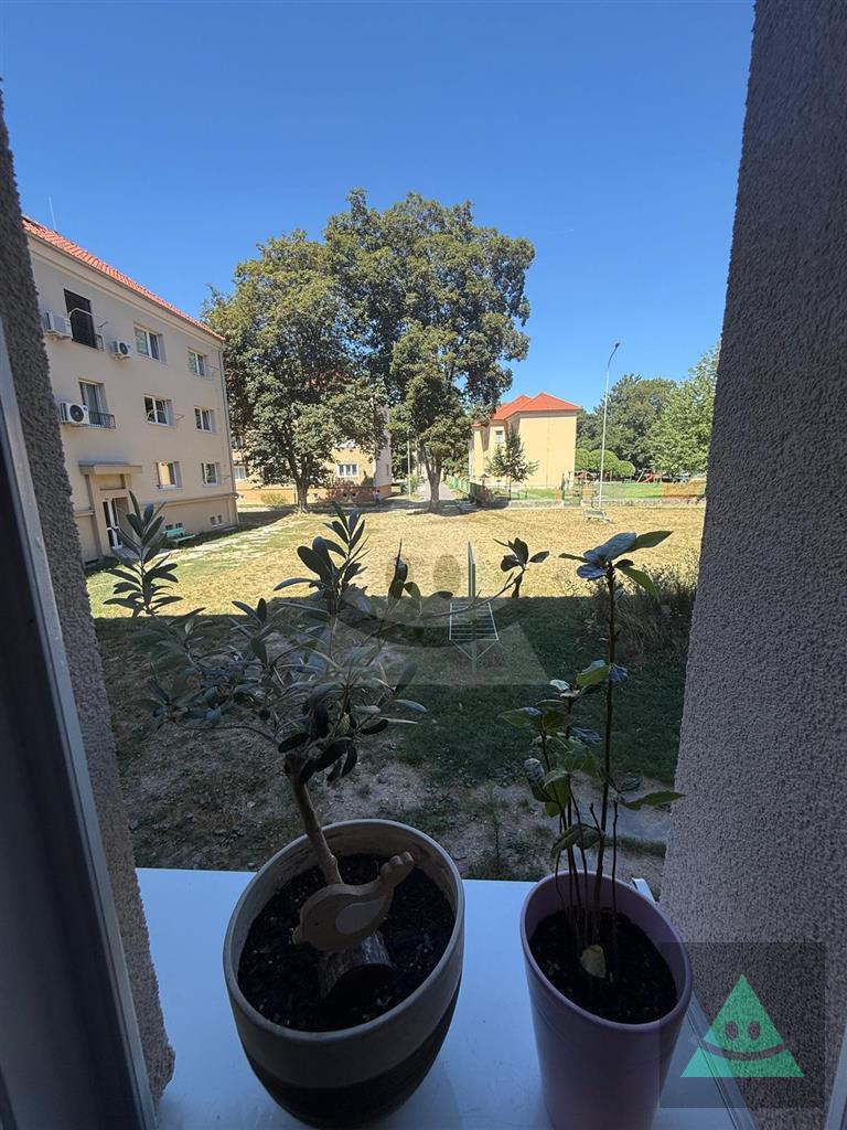Fotografia č. 9