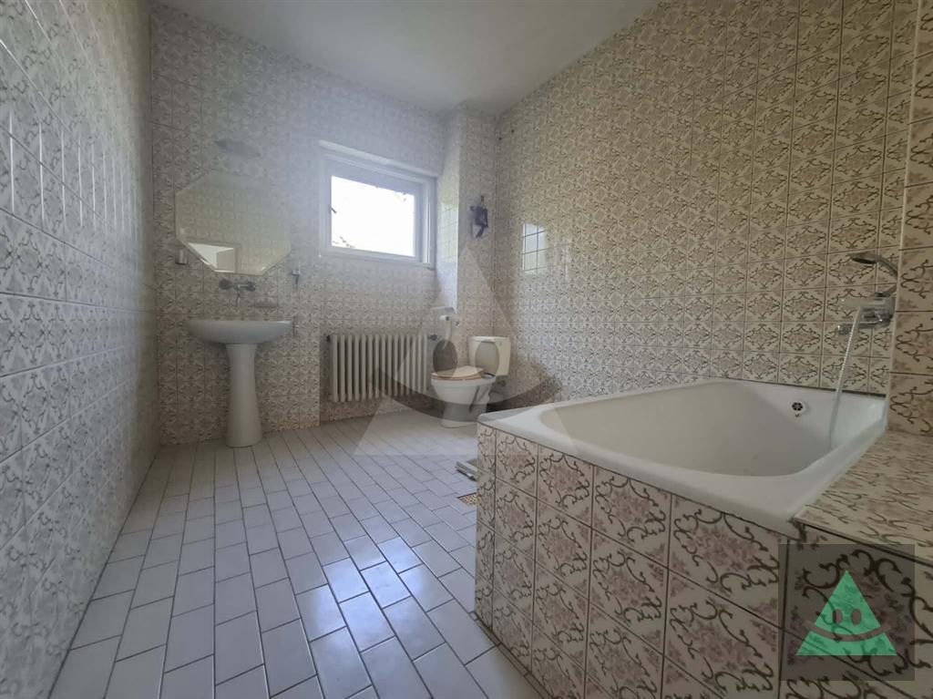 Fotografia č. 7