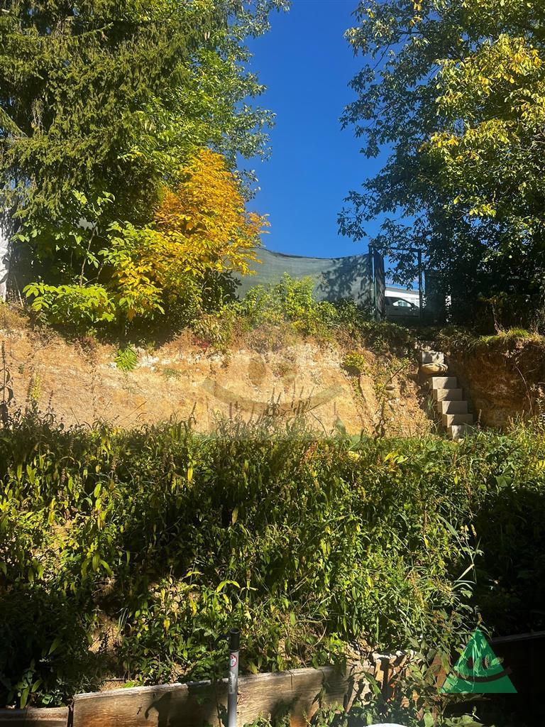 Fotografia č. 6