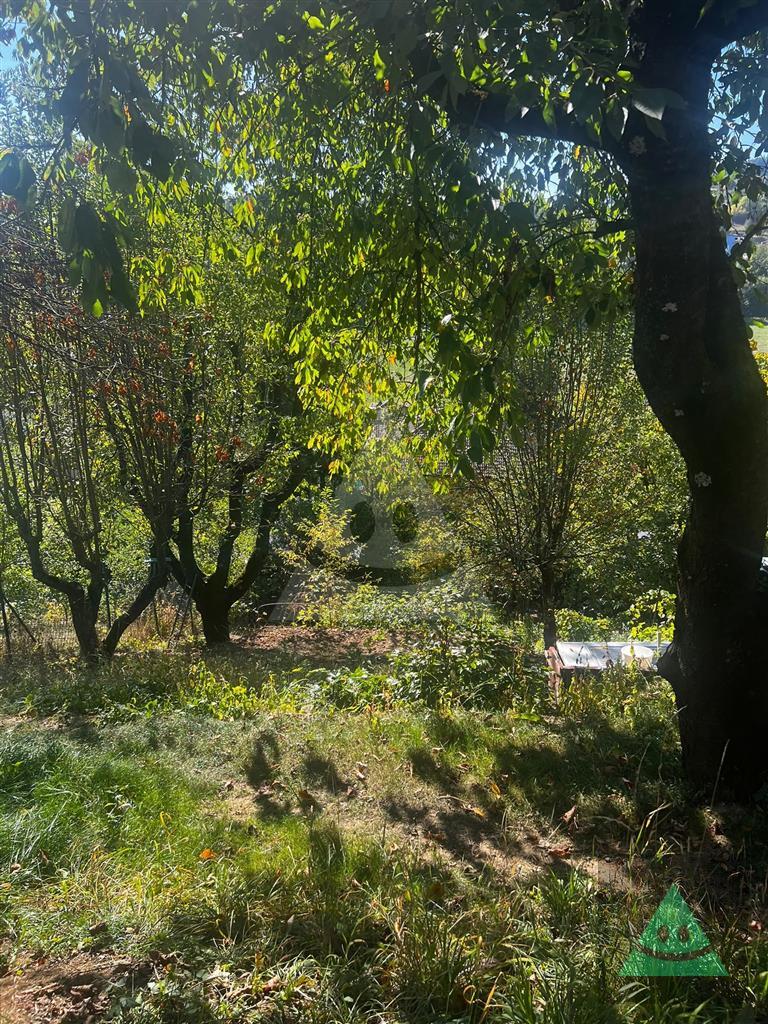 Fotografia č. 5
