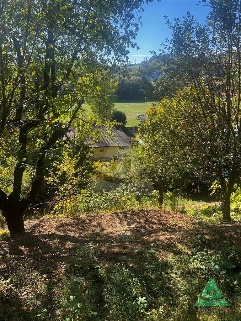 Fotografia č. 4