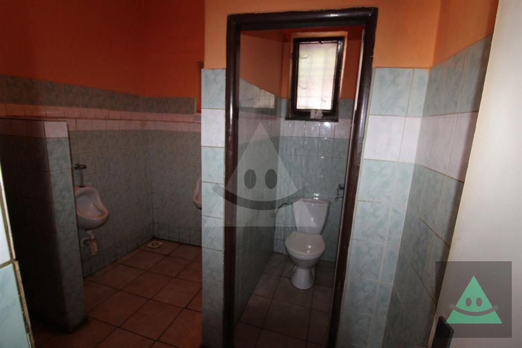 Fotografia č. 5