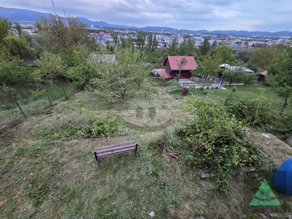 Fotografia č. 7