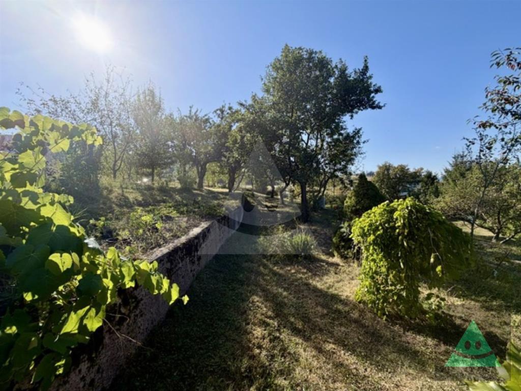 Fotografia č. 2