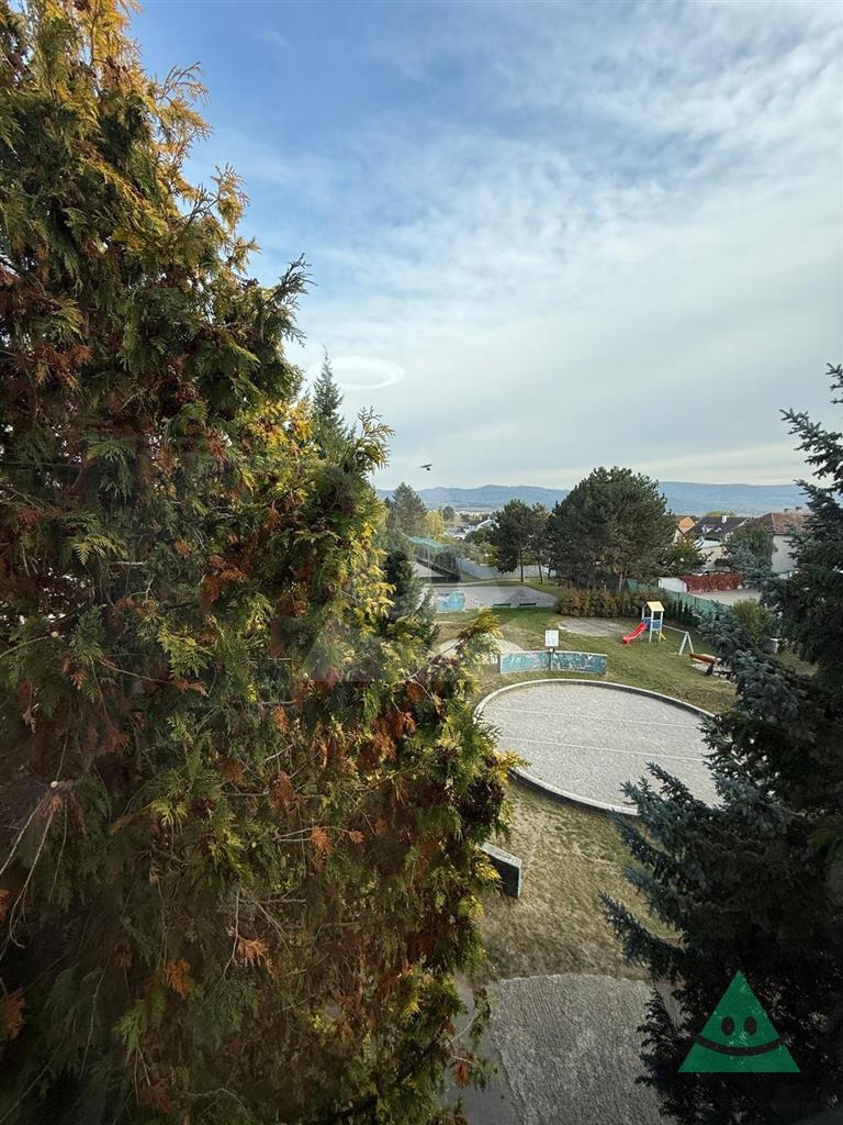 Fotografia č. 16