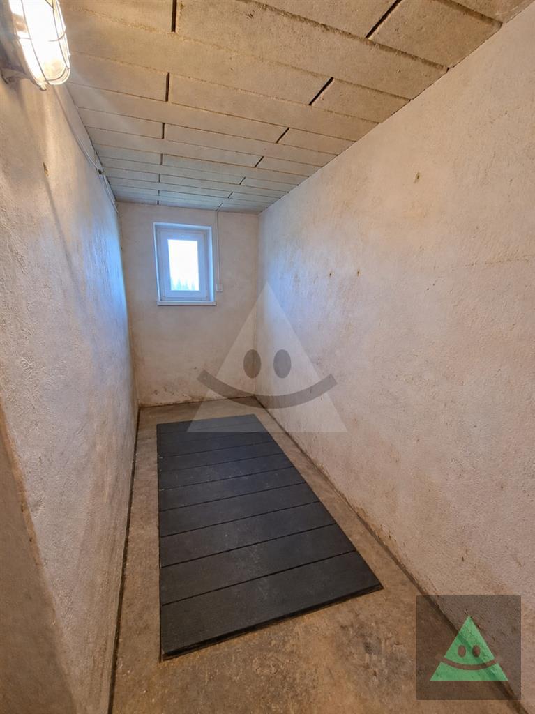 Fotografia č. 13