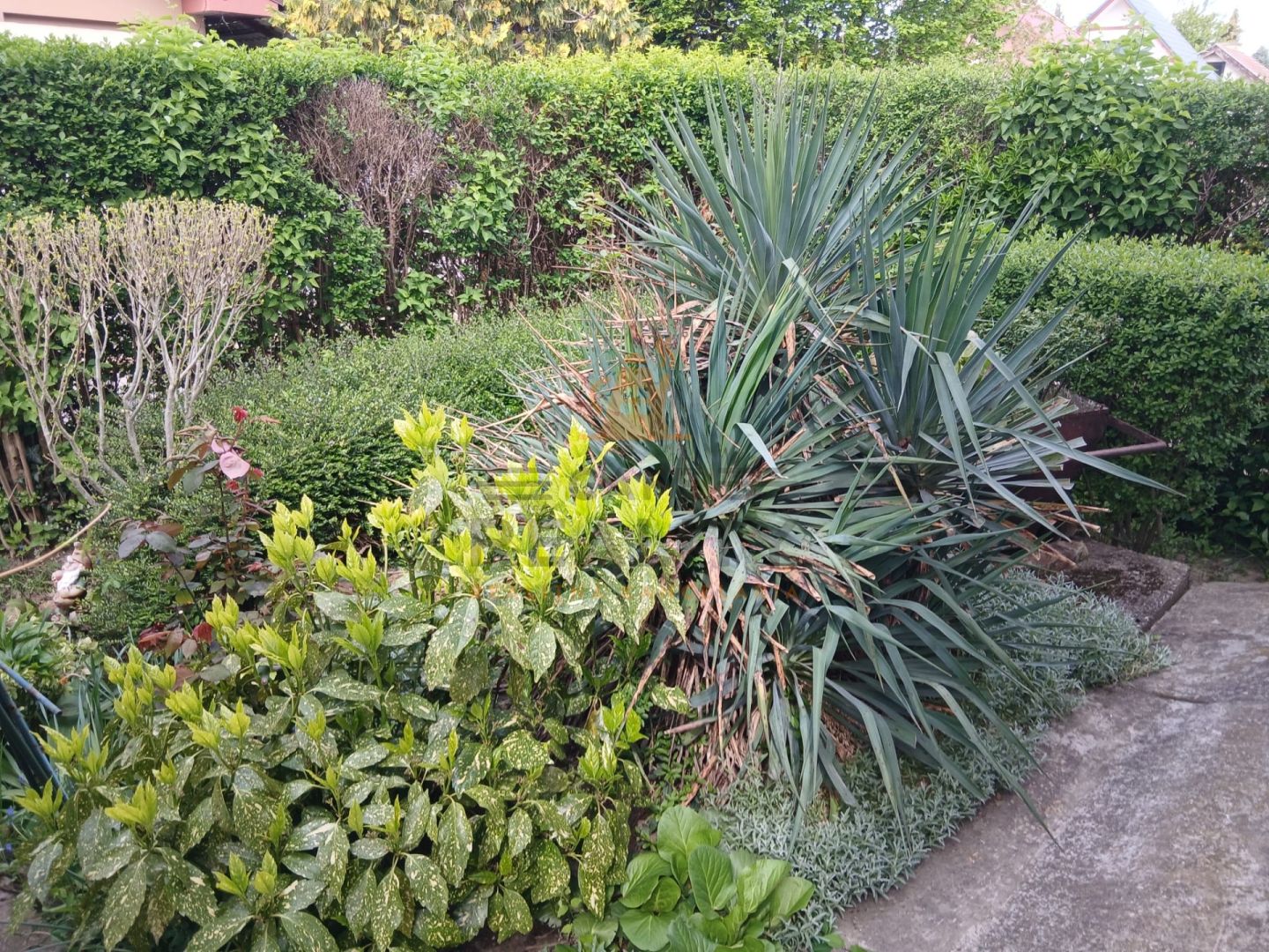 Fotografia č. 15
