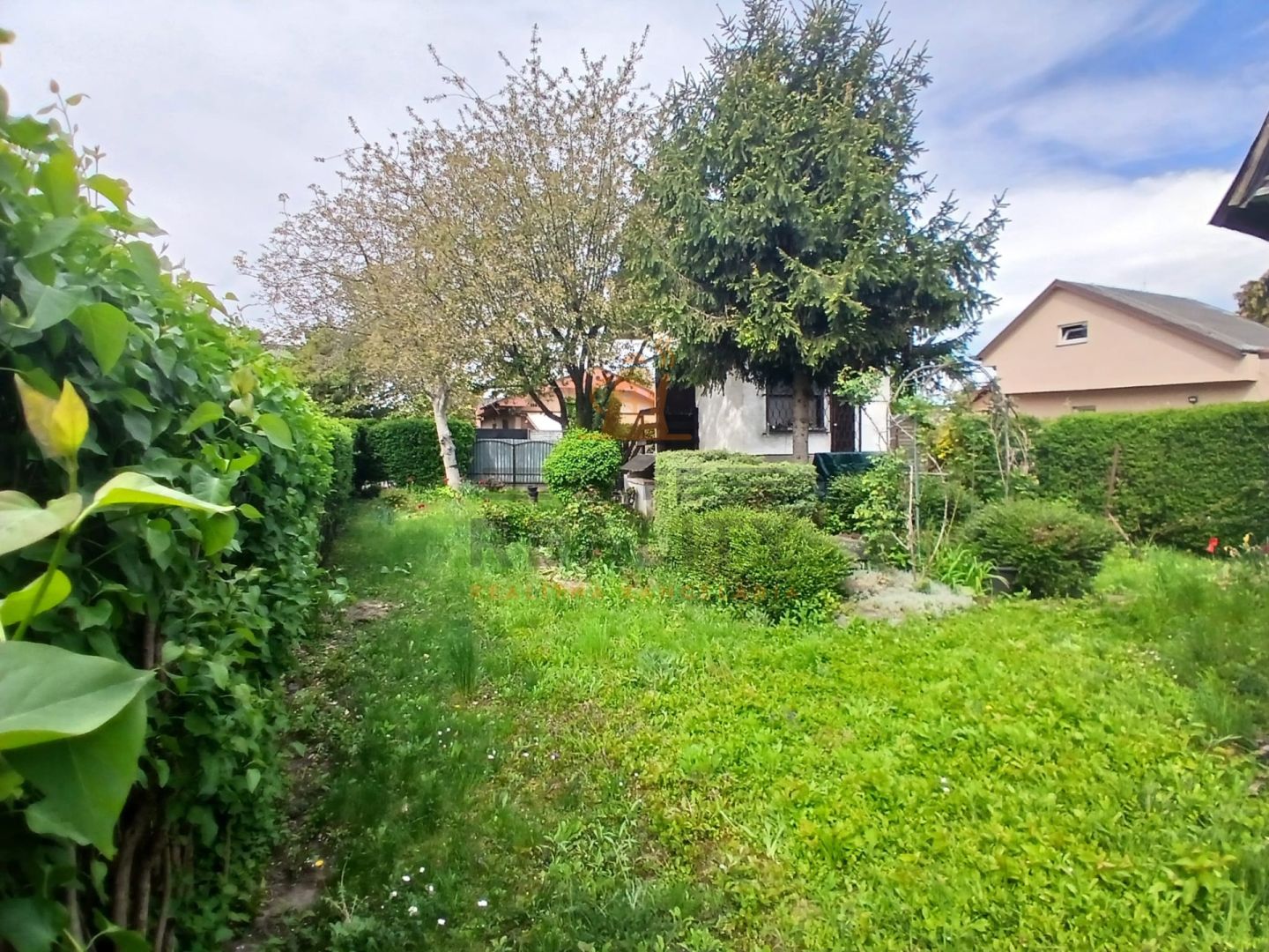 Fotografia č. 6