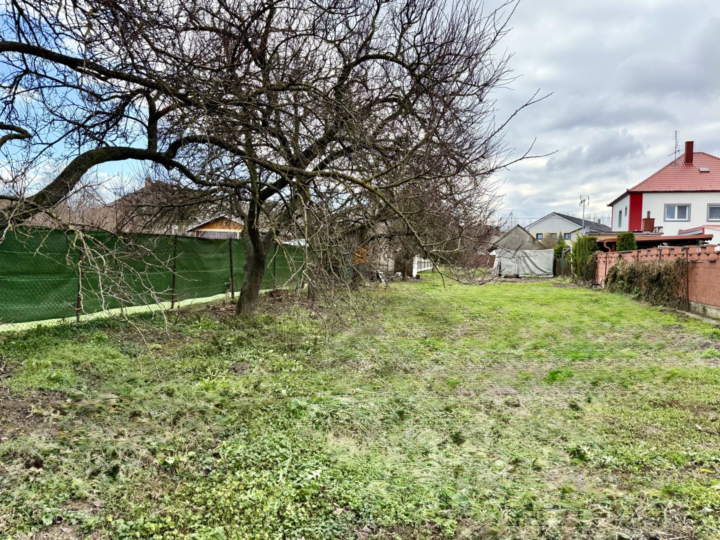 Fotografia č. 6