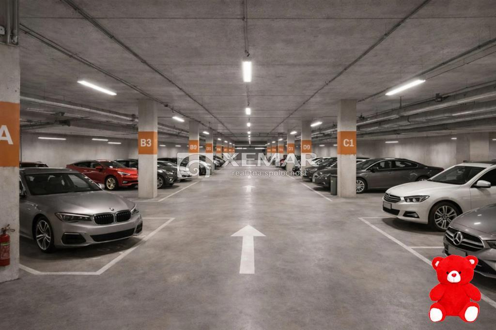 Fotografia č. 12