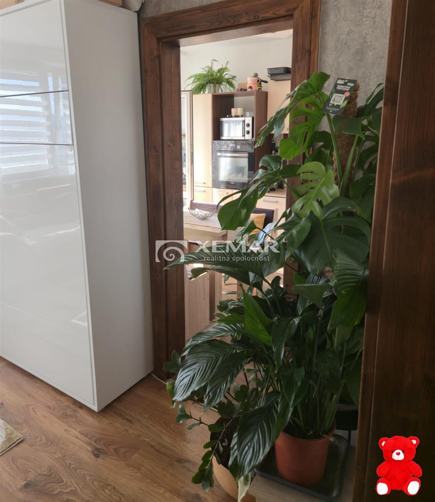 Fotografia č. 11