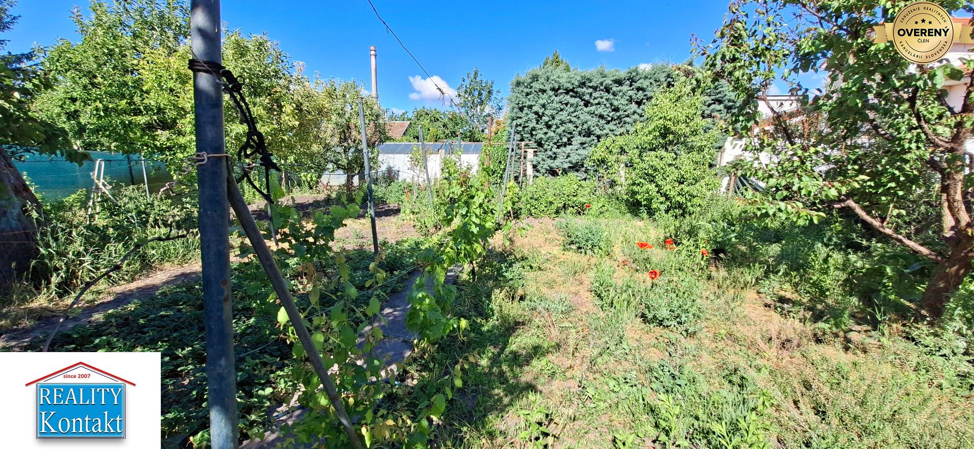 Fotografia č. 13