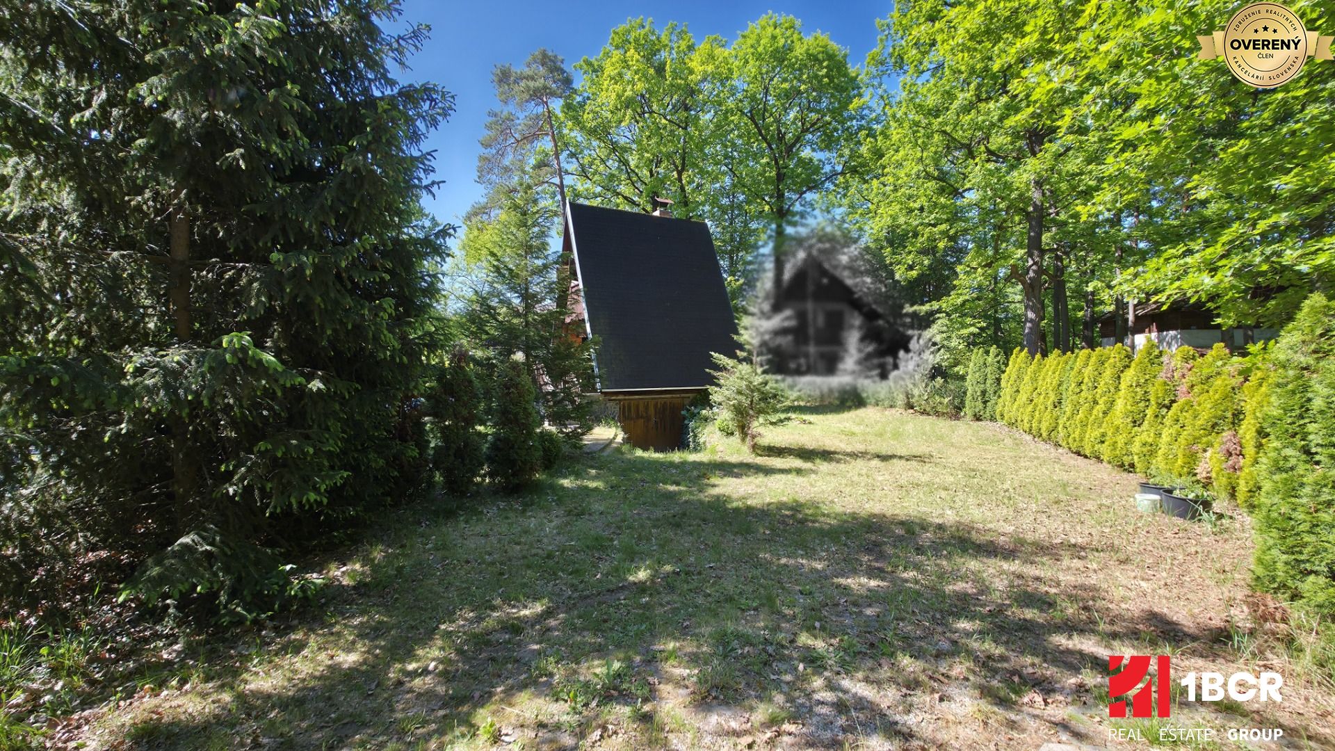 Fotografia č. 6