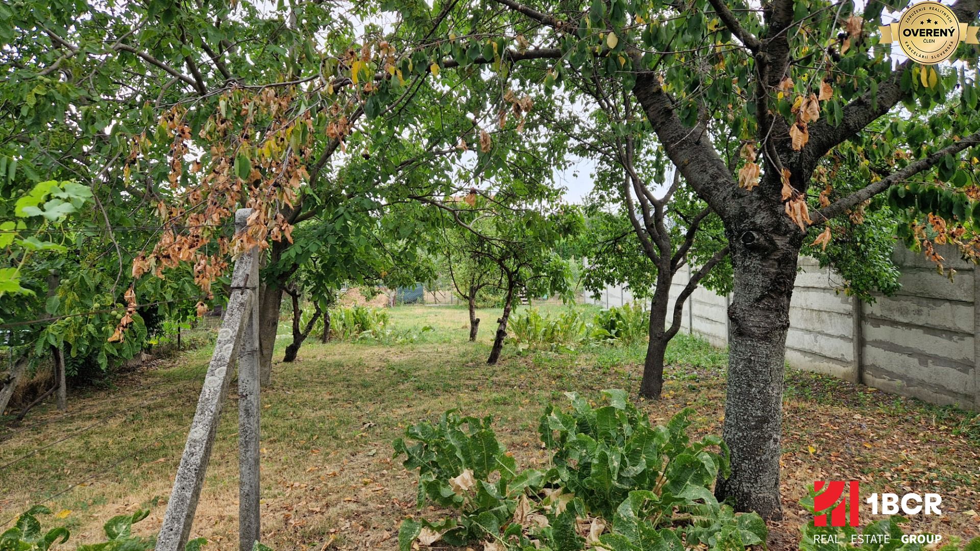 Fotografia č. 6
