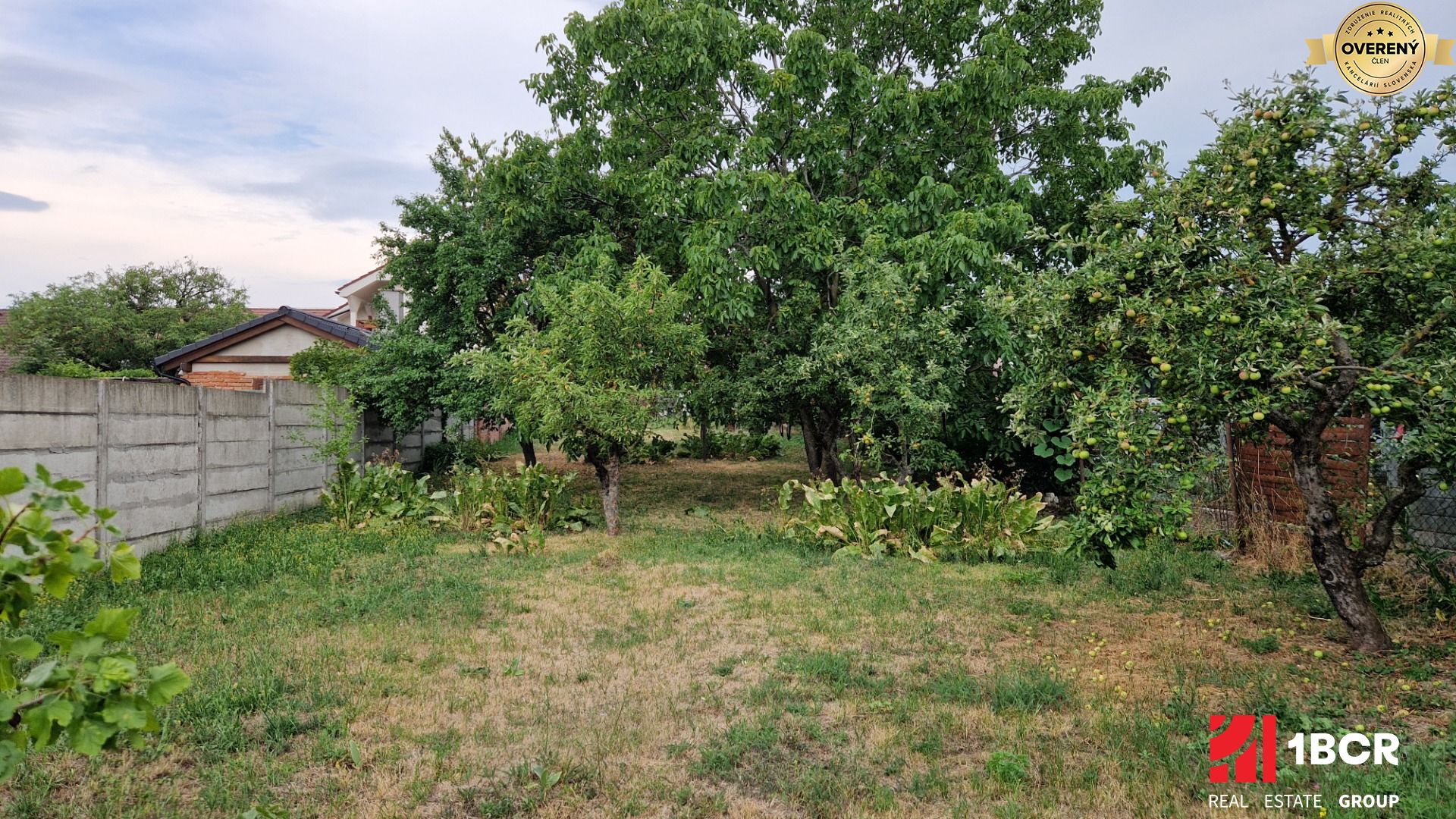 Fotografia č. 8