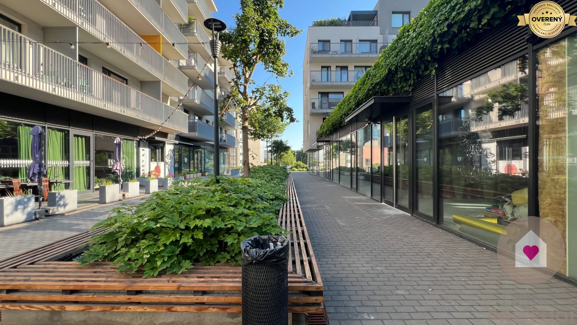 Fotografia č. 12