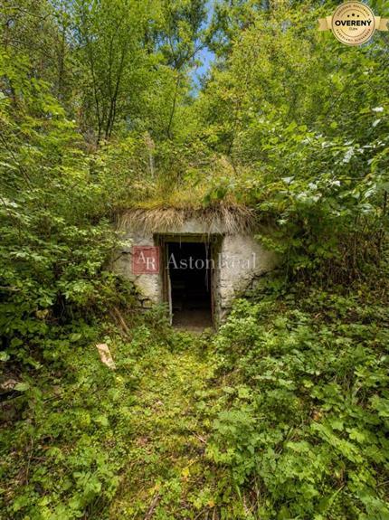 Fotografia č. 5