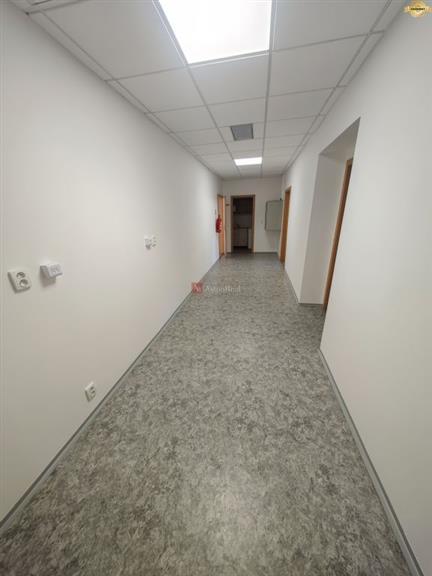 Fotografia č. 6