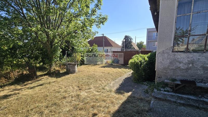 Fotografia č. 7