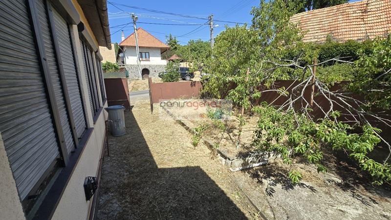 Fotografia č. 5