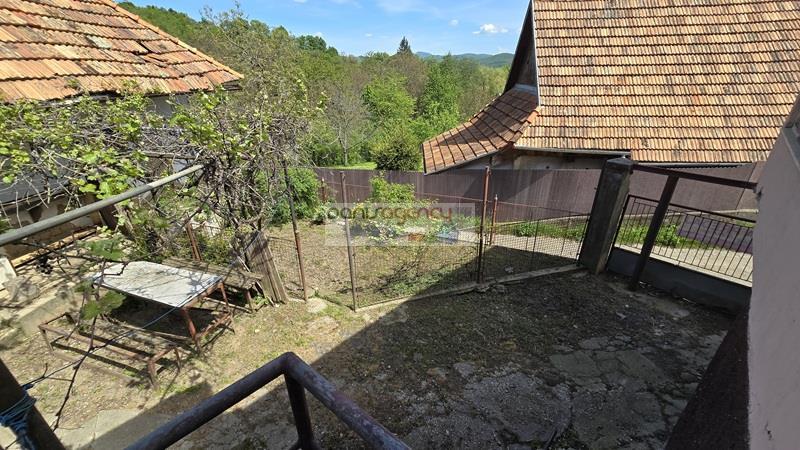 Fotografia č. 5