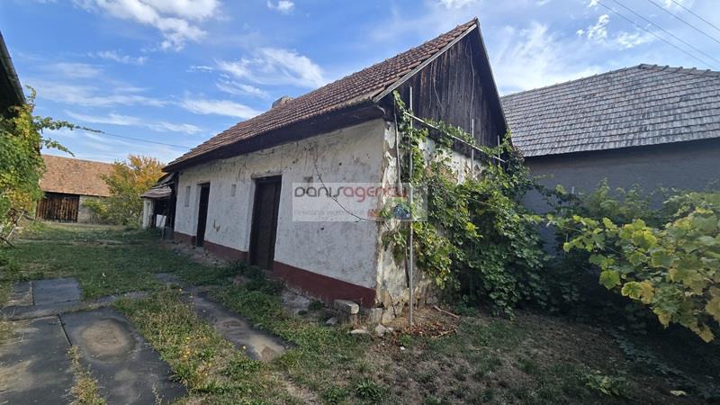 Fotografia č. 5