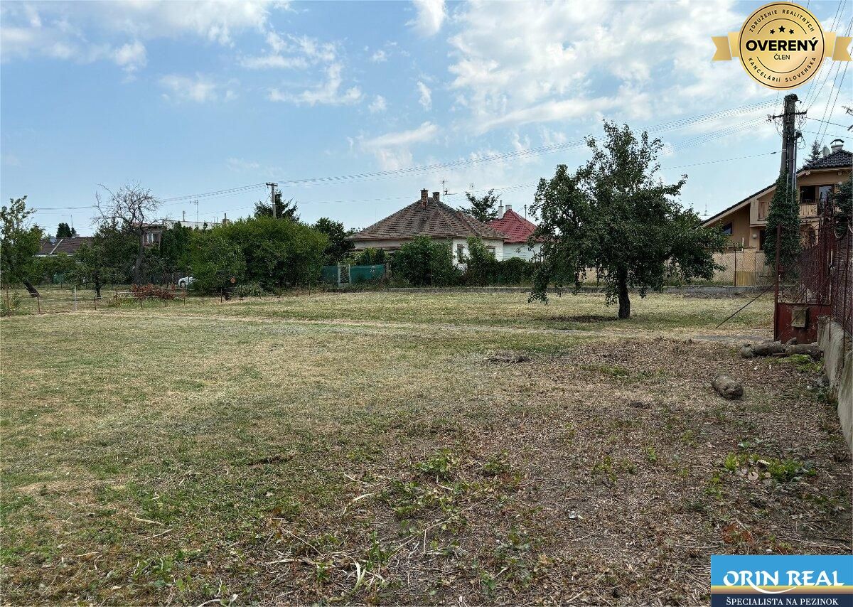 Fotografia č. 6