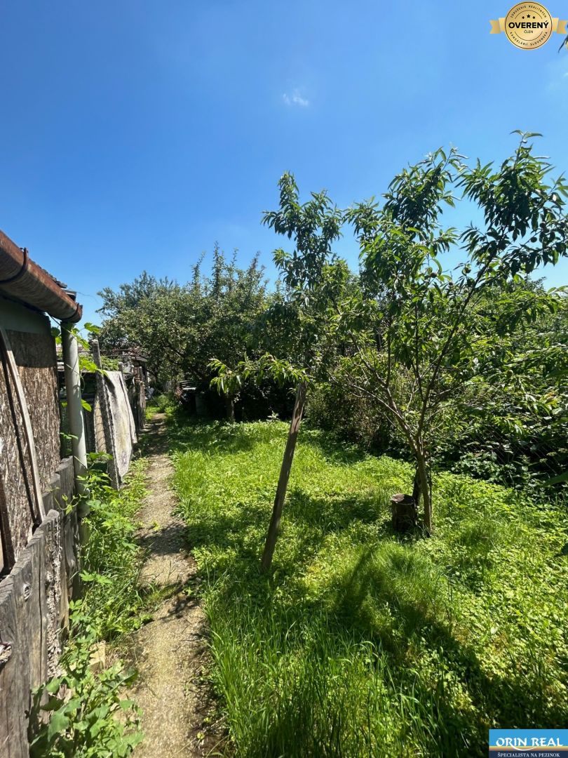 Fotografia č. 4