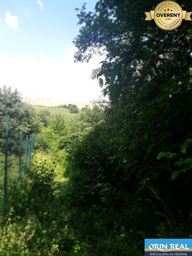 Fotografia č. 6