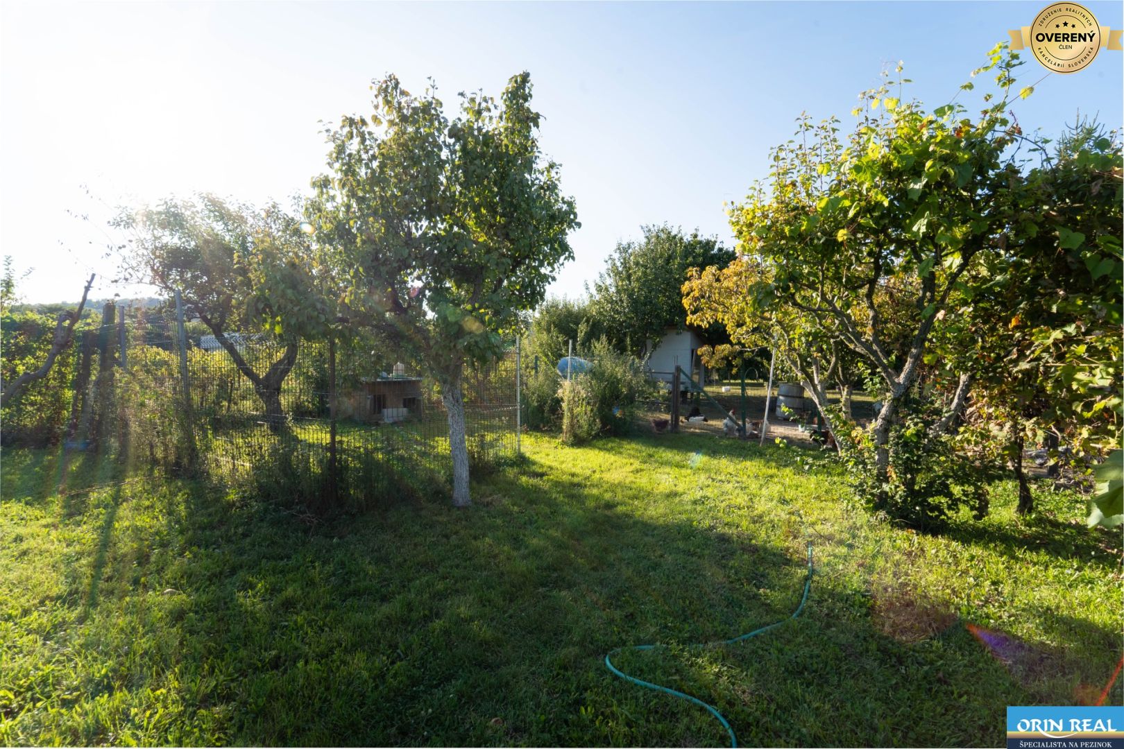 Fotografia č. 6