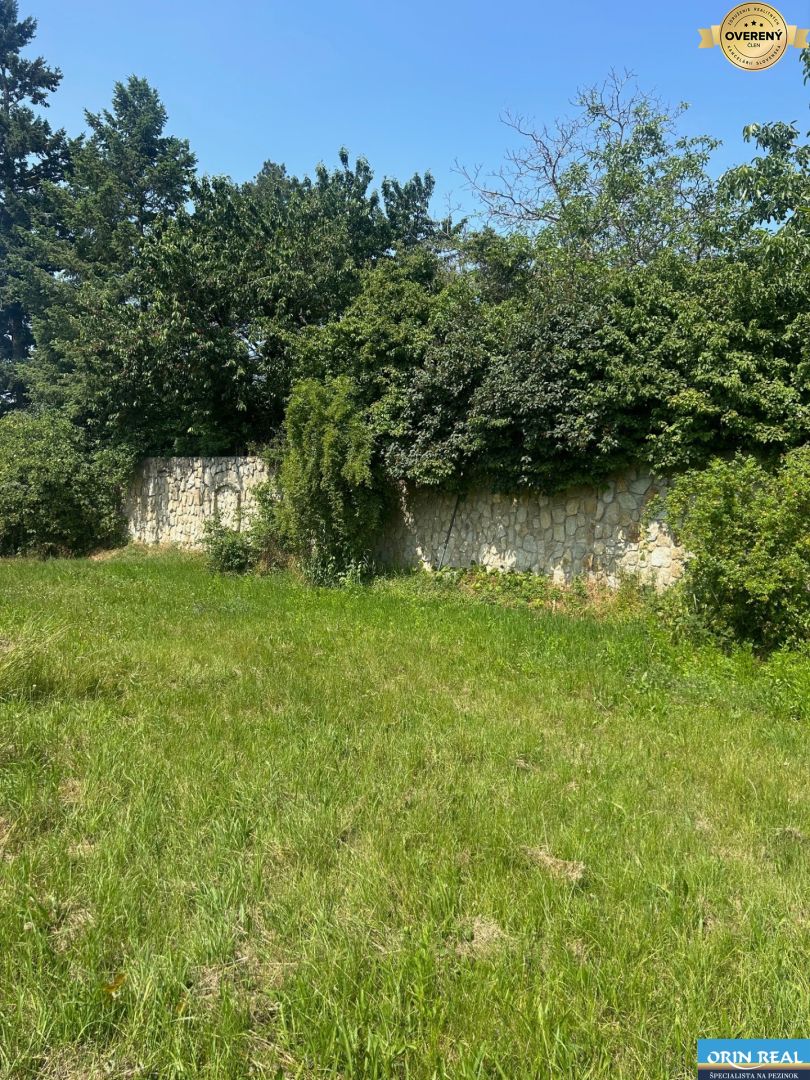 Fotografia č. 8